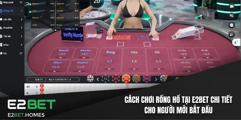 Cách chơi Rồng Hổ tại E2bet chi tiết cho người mới bắt đầu