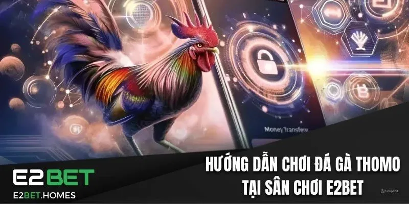 Hướng Dẫn Chơi Đá Gà Thomo Trực Tuyến Tại Sân Chơi E2bet